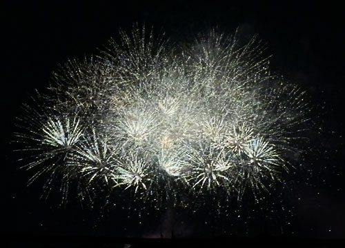 定例学習会後の花火