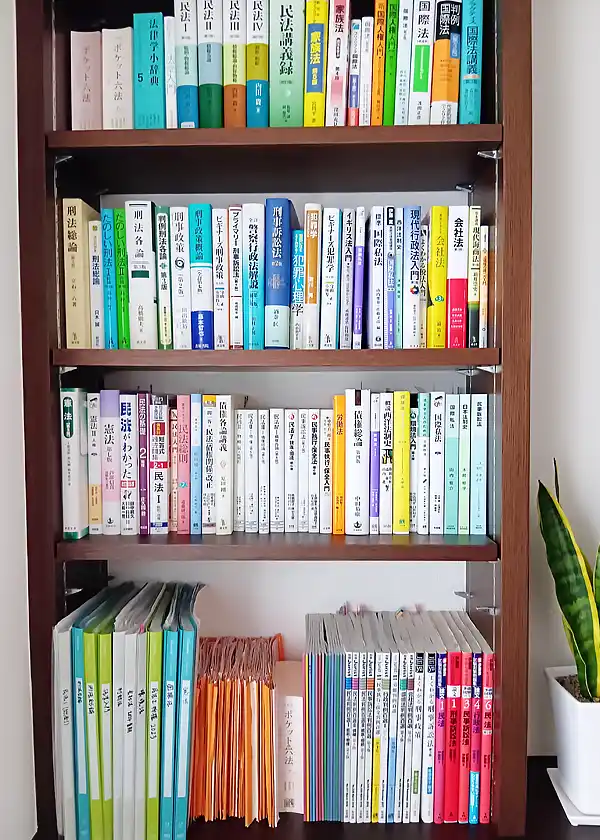 参考書やレポートが並んだ本棚