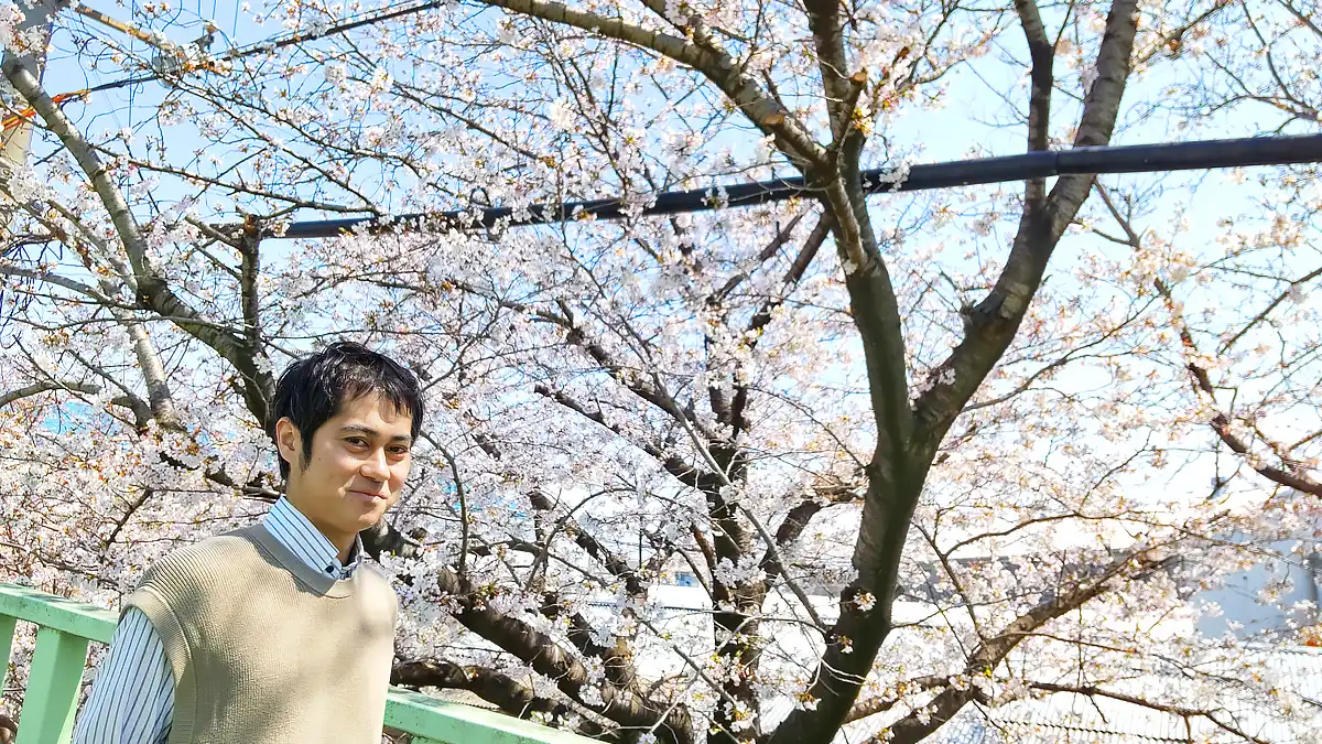 満開の桜の下で